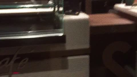 Rats At McDonald's In Paris!