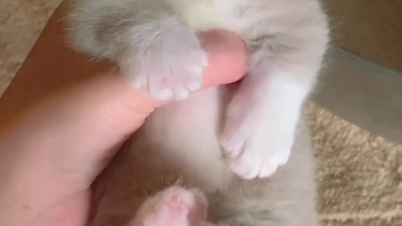 cuteee
