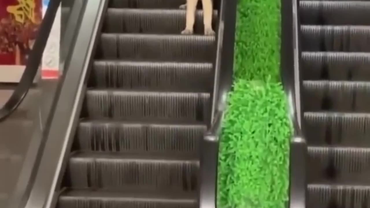 Funny Cats And Kittens Meowing Compilation 2023 || NEW