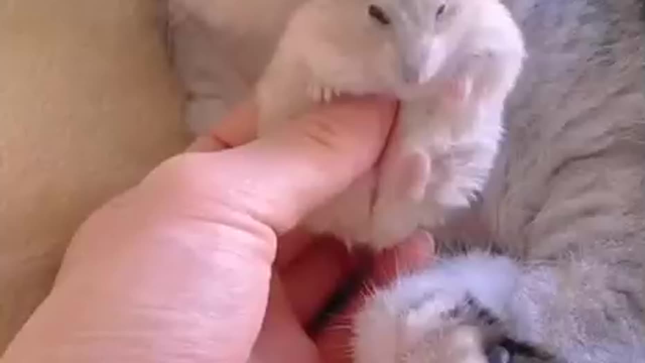 Best friend