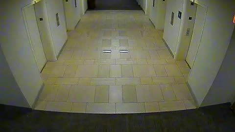 8404OHOB03O3A2MainElevatorLobby_2021-01-05_20h40min01s417ms.mp4