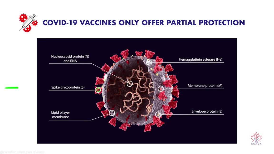 The real reason for the vaccine passport....