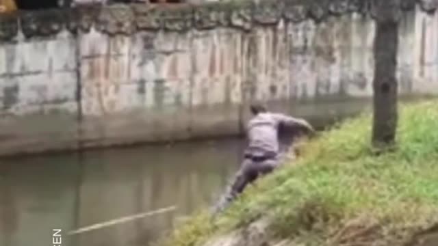 This orangutan fell into the moat in it's enclosure at a zoo in Vietnam.