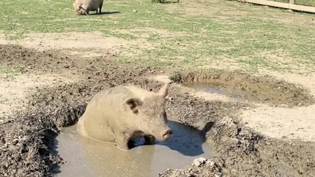 Adam doing his favorite summertime activity.