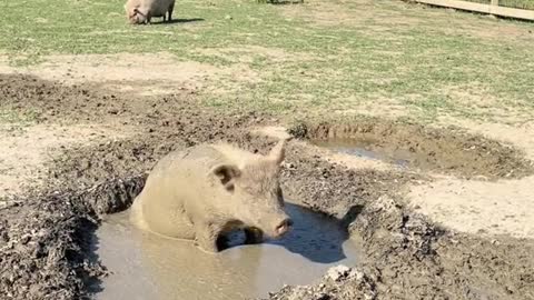 Adam doing his favorite summertime activity.