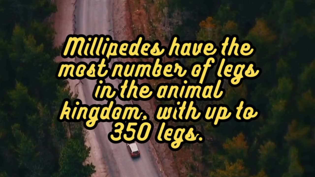 Animal Facts Millipedes #shorts