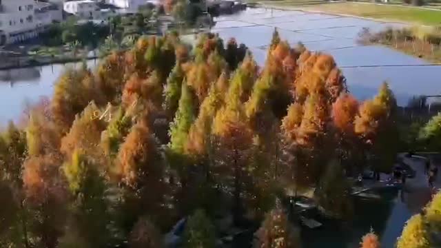 enjoy the beauty of nature