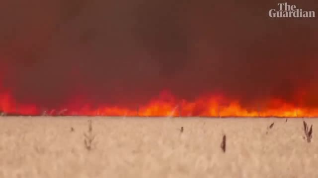 Spain: man caught in wildfire escapes with clothes ablaze