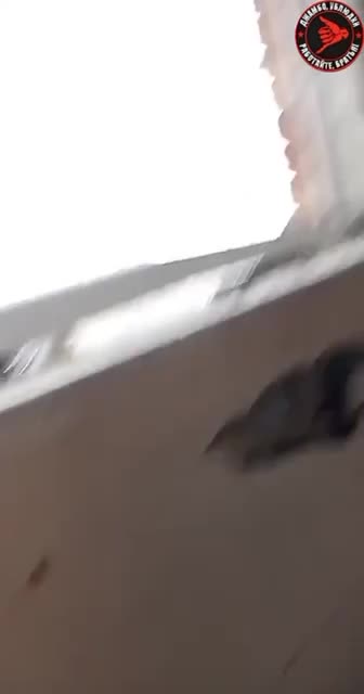 Marinka Front 18.3.23