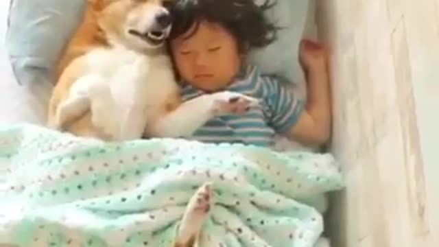 Watch this dog copying his owner when sleeping/funny moments