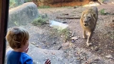 Throwback to last year when we went to the Atlanta zoo 🦁