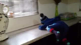 My nephew climbing kitchen counter 🙆