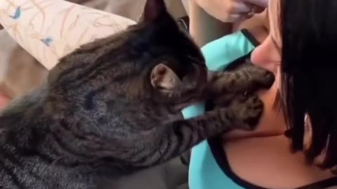 Sweet moments in the life of pets😍🐈‍⬛️🐈