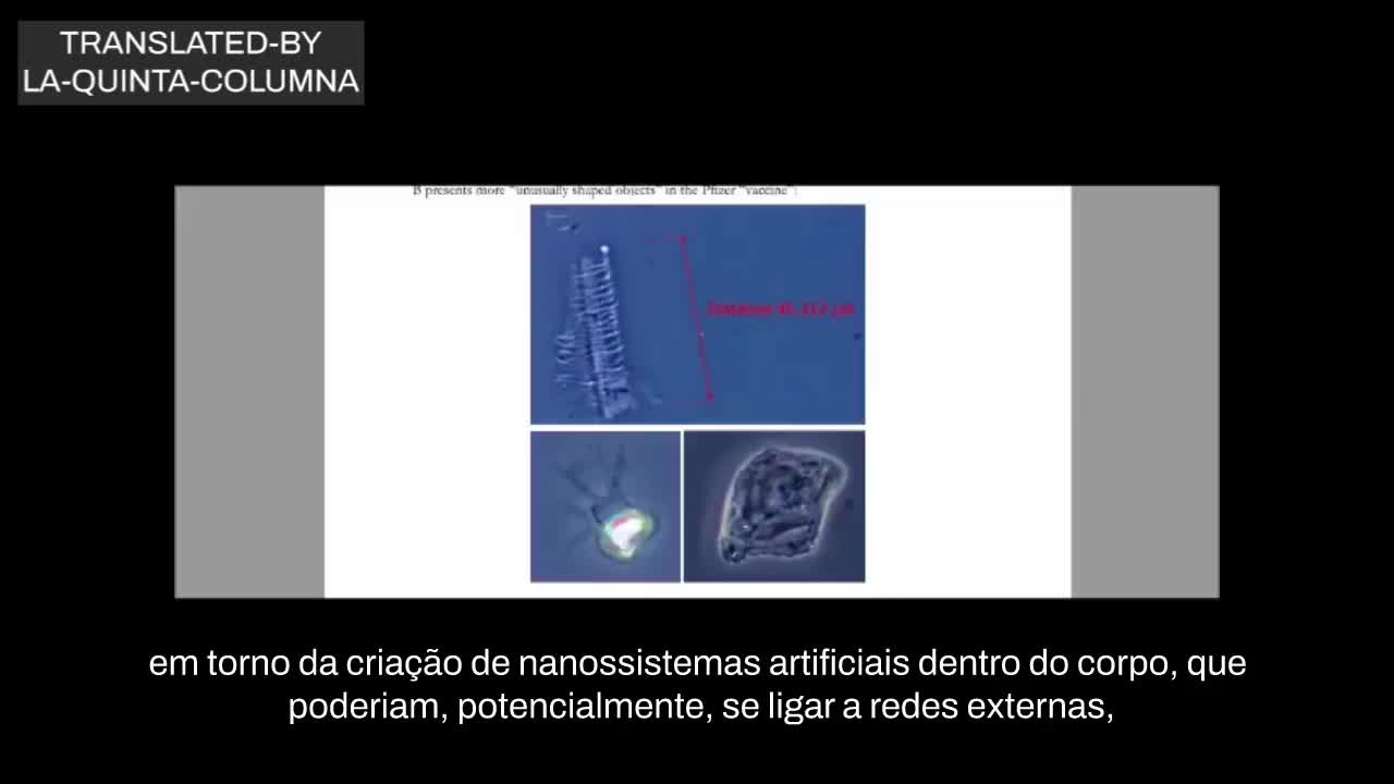 O que está nas chamadas COVID-19 "vacinas"? Evidências de um crime global