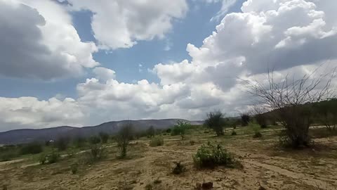 Sariska tiger reserve