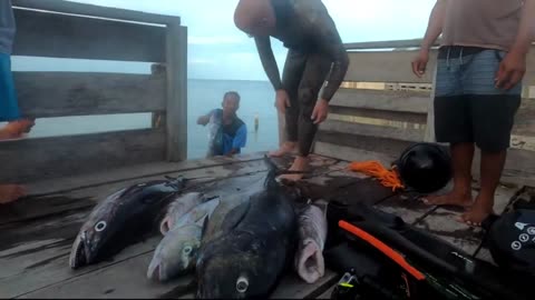 #Laut #Memancing #Sungai #Ikan Rahasia Keajaiban Dan Keingintahuan Di Kedalaman Laut Betapa Indahnya