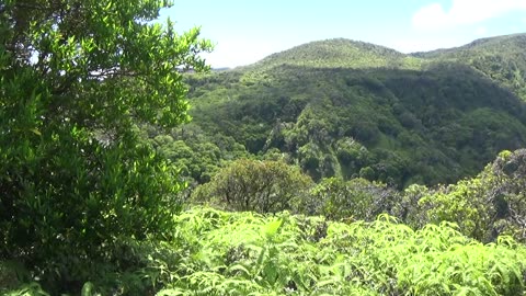 Lahaina, HI — Mahana Ridge Trail #1