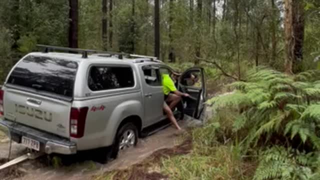 Day 3 of 10 Days of Rain, Sunshine Coast, Qld, Australia.