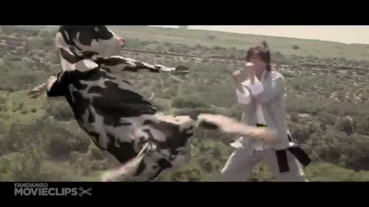 funny video cow vs man fight