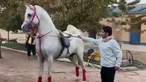 Horse riding, Masha Allah