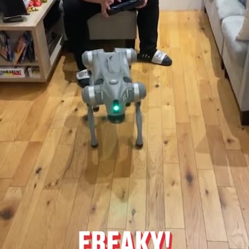 Terrifying Robo Dog