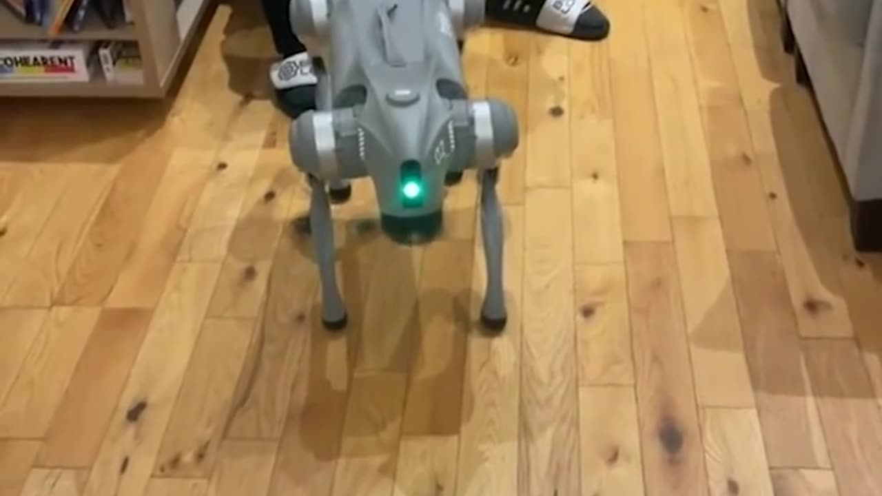 Terrifying Robo Dog