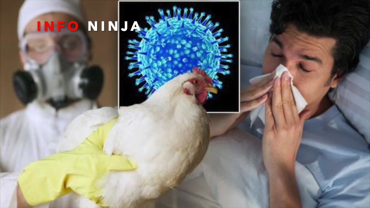 Bird Flu in Humans Possibly Linked to US Gain of Function Research!