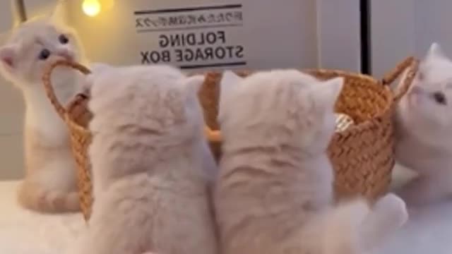 So adorable