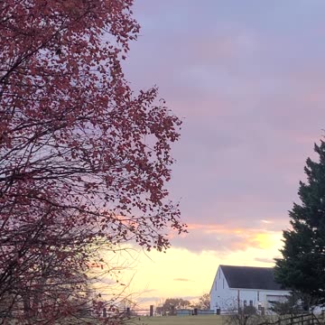 Gratitude can be found in simple things