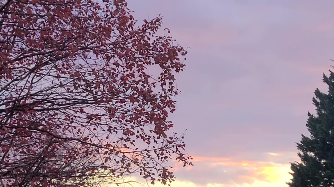 Gratitude can be found in simple things