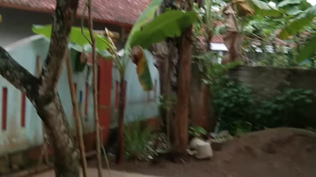 Mantap