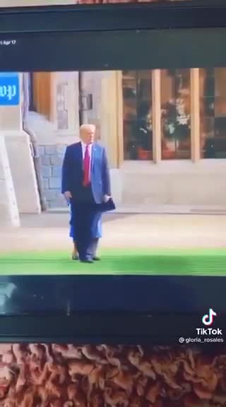 웃긴 영상 : 트형이 교황손을 잡을려는 영상과 여왕의 앞길을 가로 맊은 영상