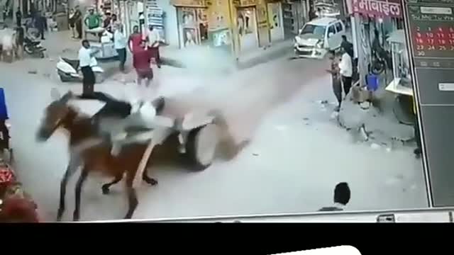 Funny videos India