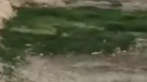The Euphrates River Drying Up Before and After Proof