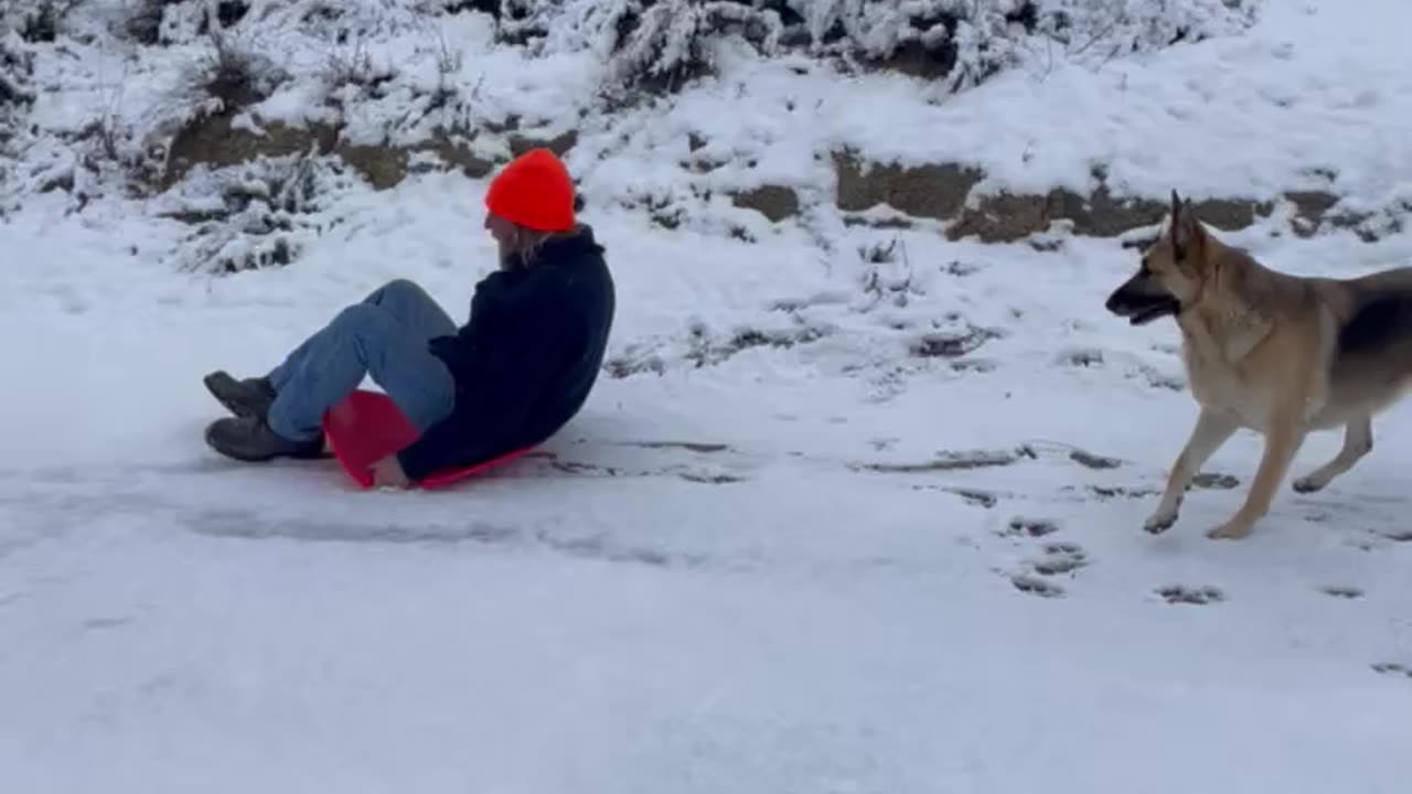 Sleddin down driveway