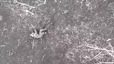 Brutal Drone Video