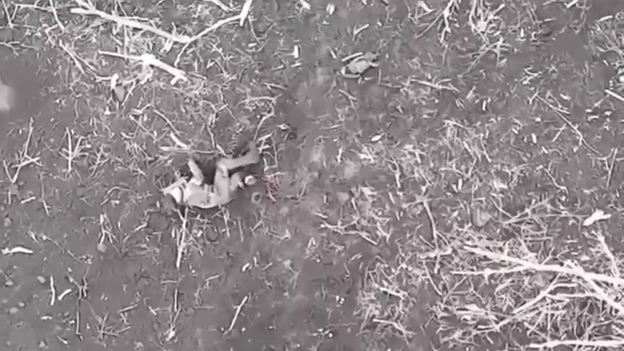 Brutal Drone Video