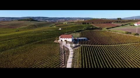 Reconstruction of an Old Winery into a Living Space
