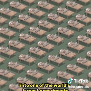 China and AI in education.