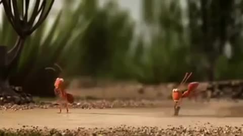 A penguin clip from a cartoon movie when they are trapped by a shark