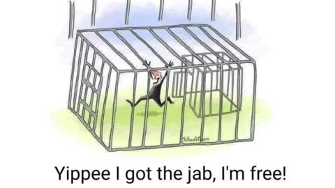 Freedom After the Jab?