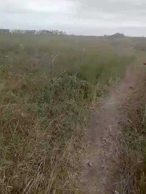 Abandoned Dead Ukrainian Soldiers In Donetsk