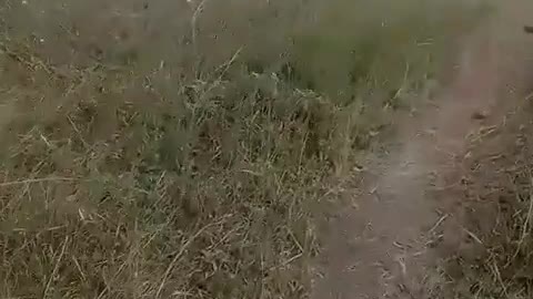 Abandoned Dead Ukrainian Soldiers In Donetsk