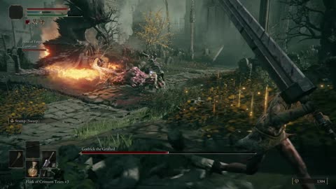Elden Ring- didn't mean to fall off.