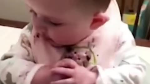 Funny Baby eating videos