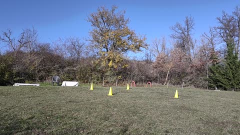 Riporto e utilizzo tug per la consegna