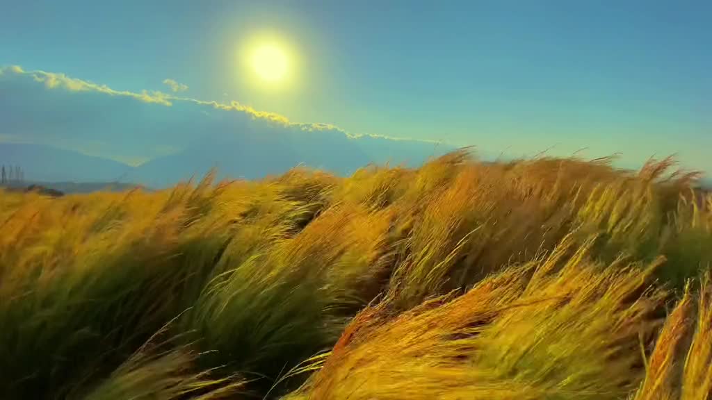 "Time, like a gust of wind, has blown through one spring