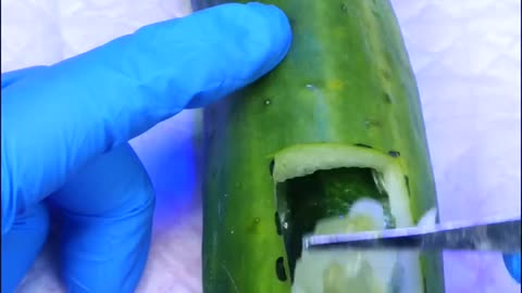 Cucumber needs surgery Baby Birth #Shorts