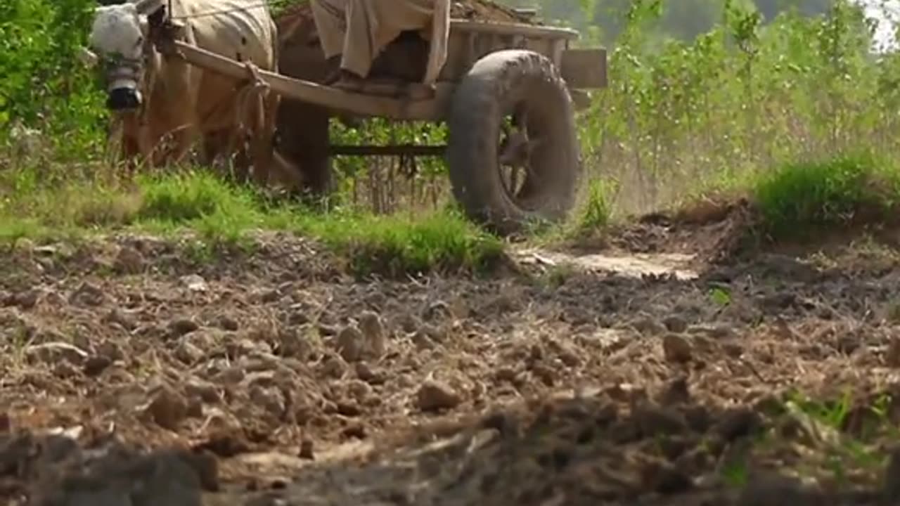 Some beautiful village rides