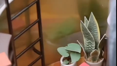 Mastering Mini House Crafts: Tiny Creations, Big Delight